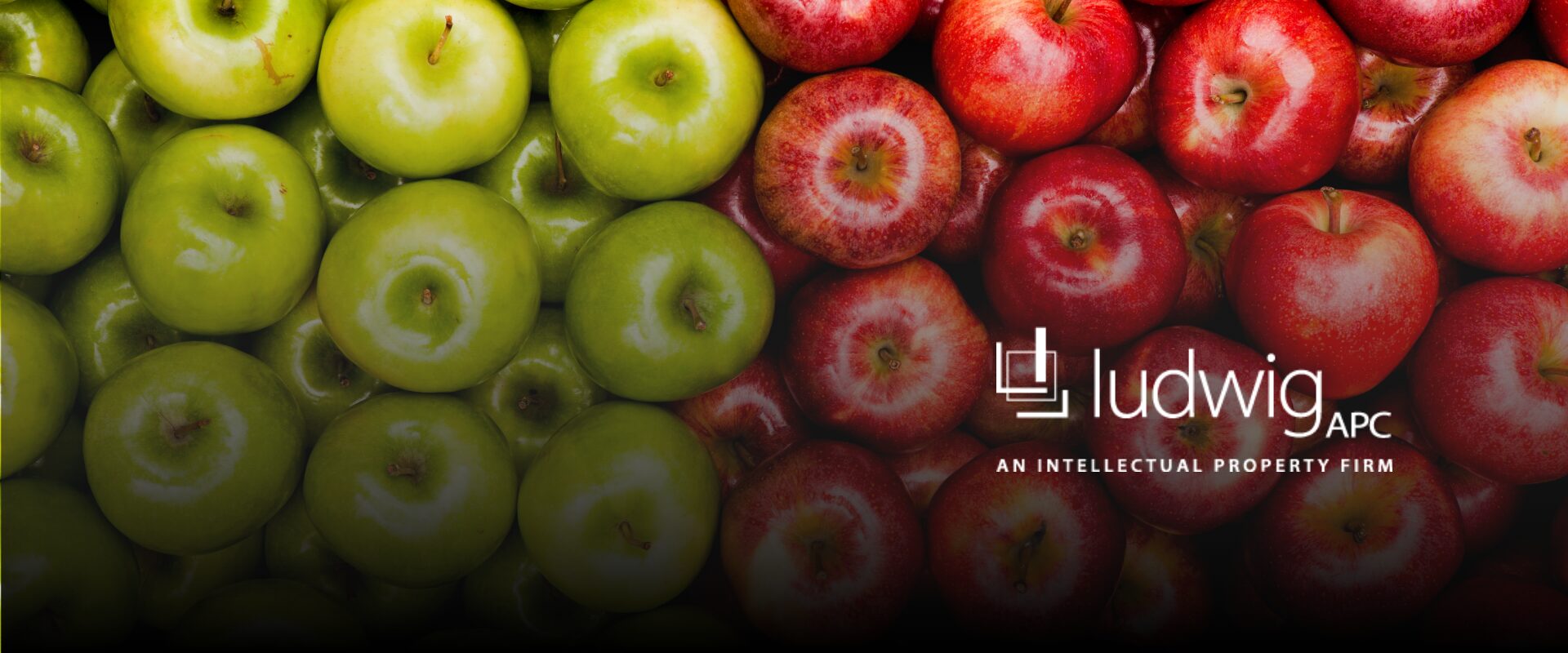 Ludwig Apple vs Apple Brand Name